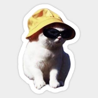 cool cat Sticker